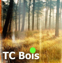LOGO-TCBOIS-constrcution-maison-bois
